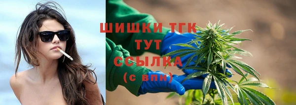 2c-b Богородицк