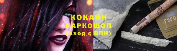 хмурый Белокуриха