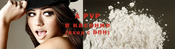 хмурый Белокуриха