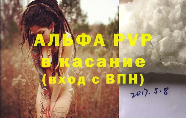 эйфоретик Беломорск