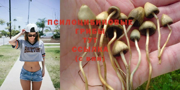эйфоретик Беломорск
