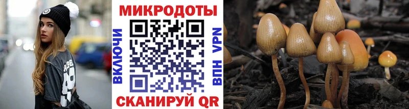 Галлюциногенные грибы Magic Shrooms  Конаково 